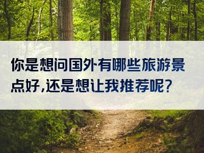 你是想问国外有哪些旅游景点好，还是想让我推荐呢？