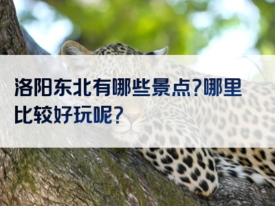 洛阳东北有哪些景点？哪里比较好玩呢？