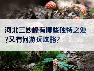 河北三妙峰有哪些独特之处？又有何游玩攻略？