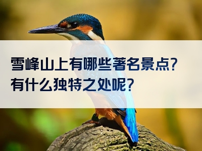 雪峰山上有哪些著名景点？有什么独特之处呢？