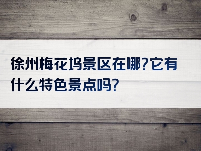 徐州梅花坞景区在哪？它有什么特色景点吗？