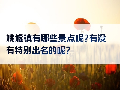 姚墟镇有哪些景点呢？有没有特别出名的呢？