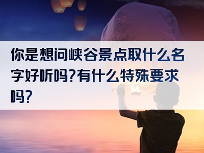 你是想问峡谷景点取什么名字好听吗？有什么特殊要求吗？