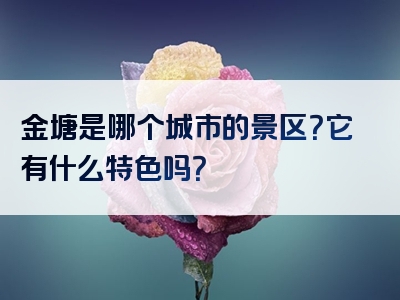 金塘是哪个城市的景区？它有什么特色吗？