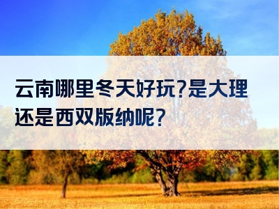 云南哪里冬天好玩？是大理还是西双版纳呢？