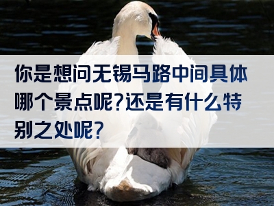 你是想问无锡马路中间具体哪个景点呢？还是有什么特别之处呢？