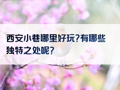西安小巷哪里好玩？有哪些独特之处呢？
