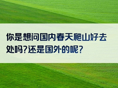 你是想问国内春天爬山好去处吗？还是国外的呢？