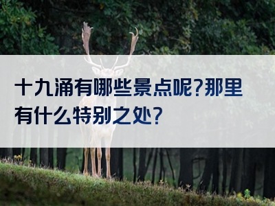 十九涌有哪些景点呢？那里有什么特别之处？