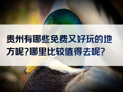 贵州有哪些免费又好玩的地方呢？哪里比较值得去呢？