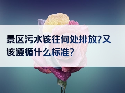 景区污水该往何处排放？又该遵循什么标准？