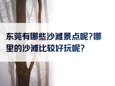 东莞有哪些沙滩景点呢？哪里的沙滩比较好玩呢？