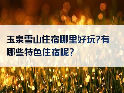 玉泉雪山住宿哪里好玩？有哪些特色住宿呢？