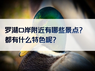 罗湖口岸附近有哪些景点？都有什么特色呢？