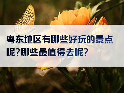 粤东地区有哪些好玩的景点呢？哪些最值得去呢？