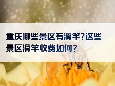 重庆哪些景区有滑竿？这些景区滑竿收费如何？