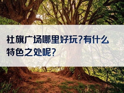 社旗广场哪里好玩？有什么特色之处呢？
