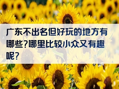 广东不出名但好玩的地方有哪些？哪里比较小众又有趣呢？