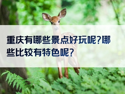 重庆有哪些景点好玩呢？哪些比较有特色呢？