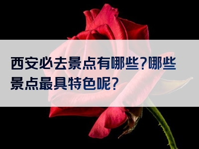 西安必去景点有哪些？哪些景点最具特色呢？