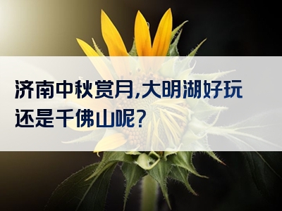 济南中秋赏月，大明湖好玩还是千佛山呢？