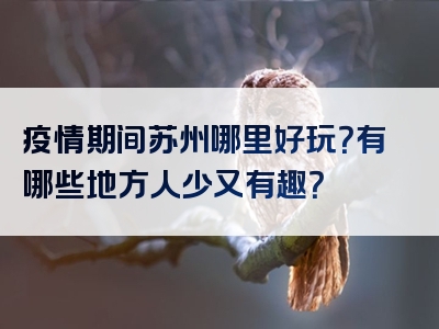 疫情期间苏州哪里好玩？有哪些地方人少又有趣？