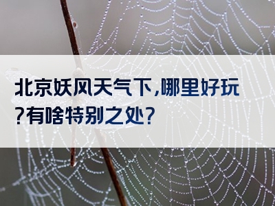 北京妖风天气下，哪里好玩？有啥特别之处？