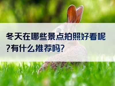 冬天在哪些景点拍照好看呢？有什么推荐吗？