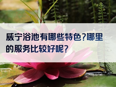 威宁浴池有哪些特色？哪里的服务比较好呢？