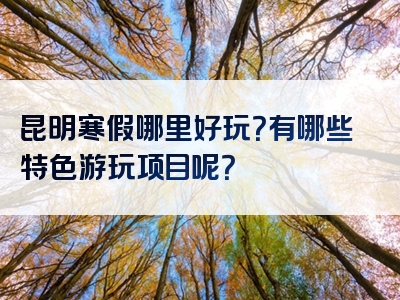 昆明寒假哪里好玩？有哪些特色游玩项目呢？