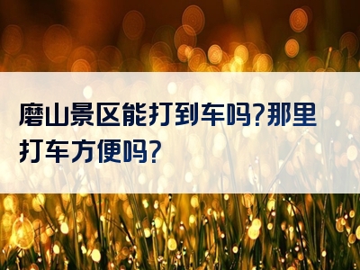 磨山景区能打到车吗？那里打车方便吗？
