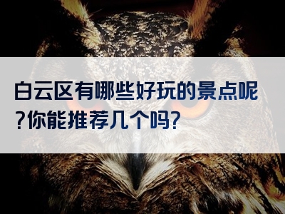 白云区有哪些好玩的景点呢？你能推荐几个吗？