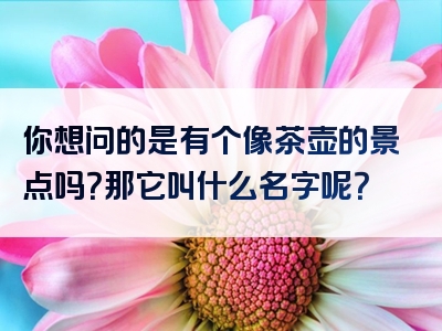 你想问的是有个像茶壶的景点吗？那它叫什么名字呢？