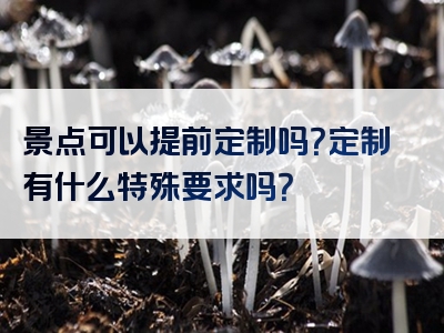 景点可以提前定制吗？定制有什么特殊要求吗？
