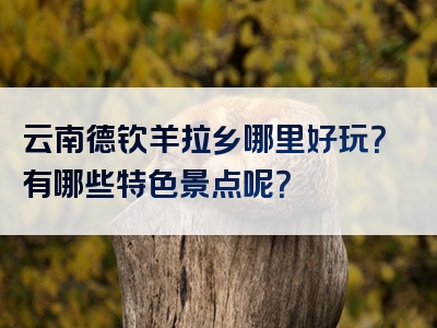 云南德钦羊拉乡哪里好玩？有哪些特色景点呢？