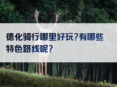 德化骑行哪里好玩？有哪些特色路线呢？