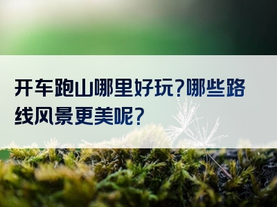 开车跑山哪里好玩？哪些路线风景更美呢？