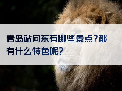 青岛站向东有哪些景点？都有什么特色呢？