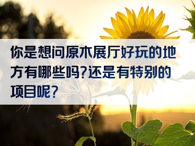你是想问原木展厅好玩的地方有哪些吗？还是有特别的项目呢？