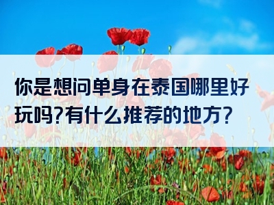 你是想问单身在泰国哪里好玩吗？有什么推荐的地方？