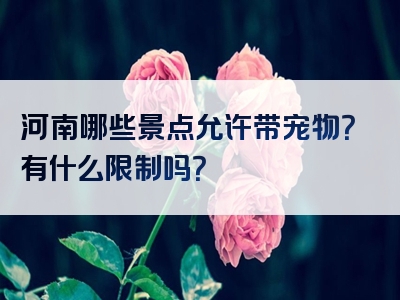 河南哪些景点允许带宠物？有什么限制吗？