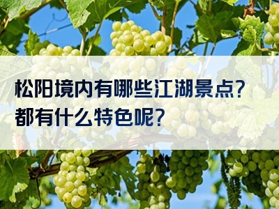 松阳境内有哪些江湖景点？都有什么特色呢？