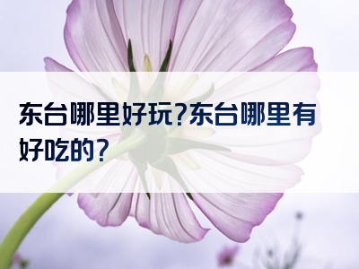 东台哪里好玩？东台哪里有好吃的？