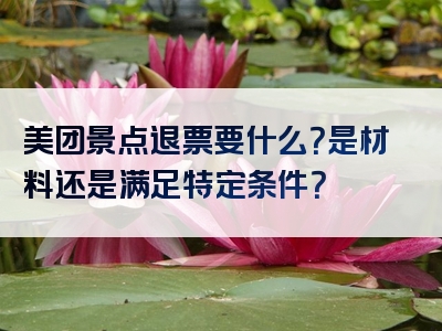 美团景点退票要什么？是材料还是满足特定条件？