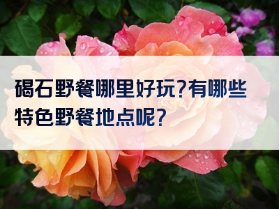 碣石野餐哪里好玩？有哪些特色野餐地点呢？