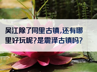 吴江除了同里古镇，还有哪里好玩呢？是震泽古镇吗？