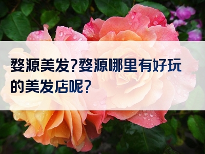 婺源美发？婺源哪里有好玩的美发店呢？