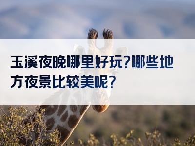 玉溪夜晚哪里好玩？哪些地方夜景比较美呢？