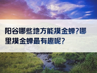 阳谷哪些地方能摸金蝉？哪里摸金蝉最有趣呢？