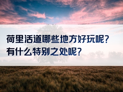 荷里活道哪些地方好玩呢？有什么特别之处呢？